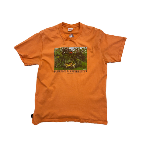 Supreme Masterpiece Salmon Tee (M)
