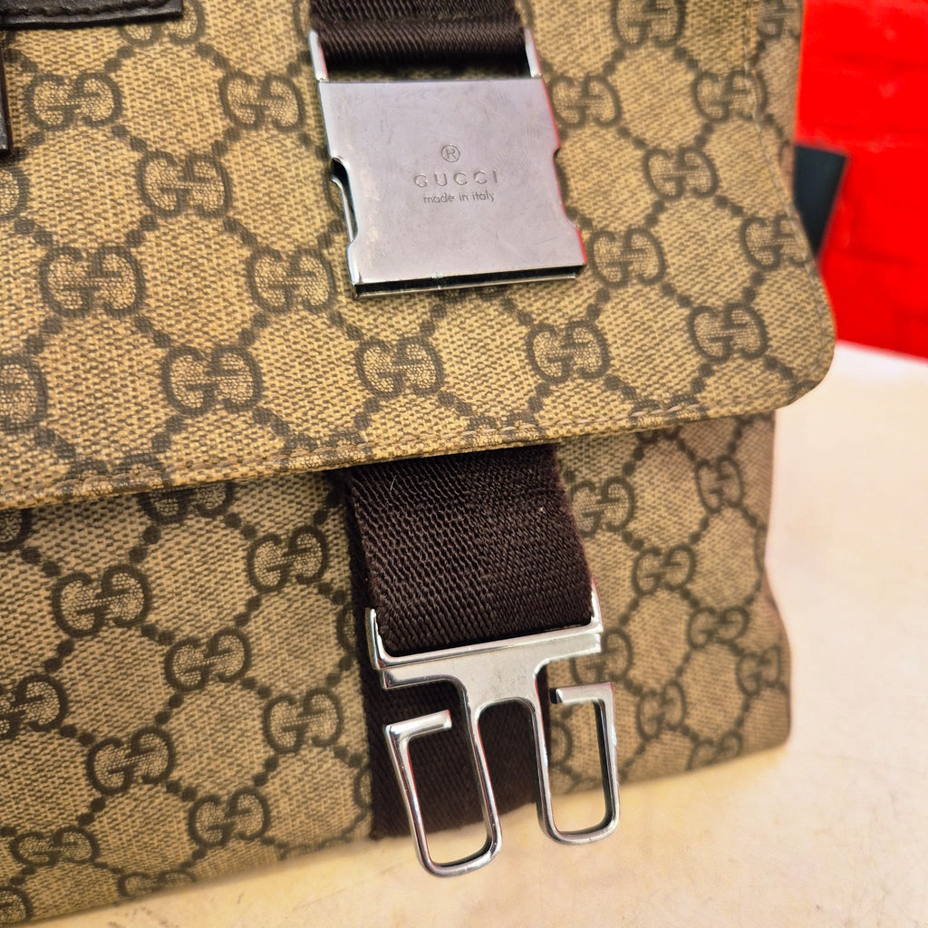 Gucci PVC Brown Crossbody Bag