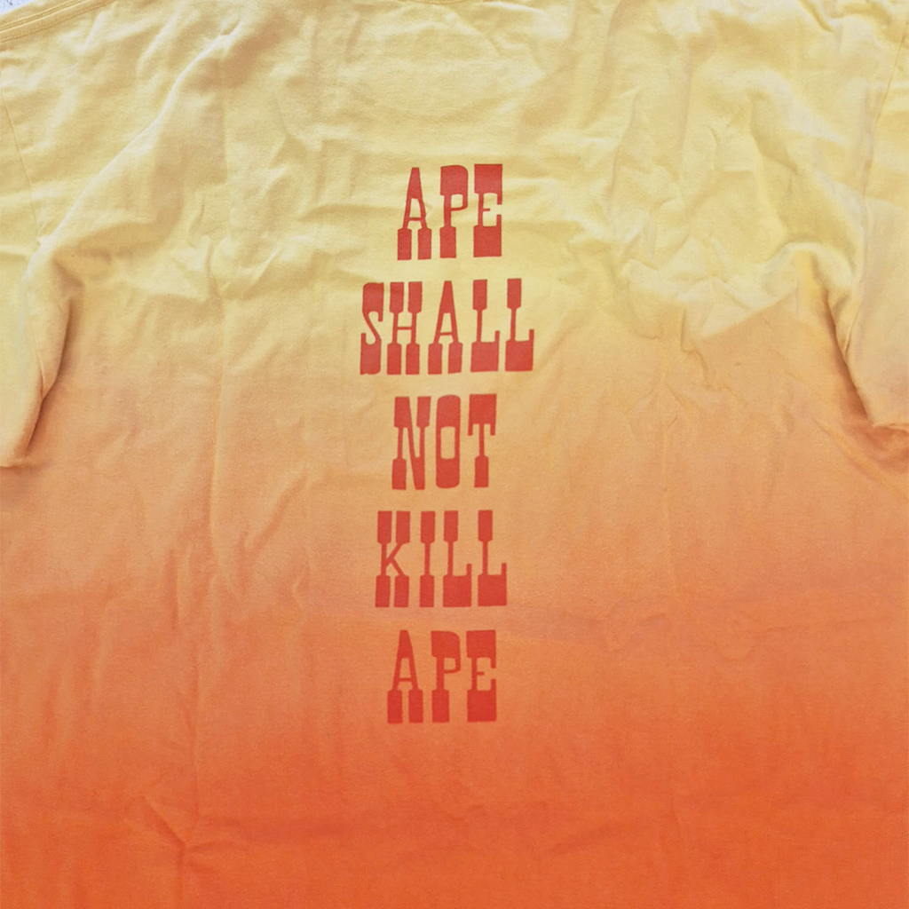 BAPE 2001 Gutan Man Gradient Tee (L)