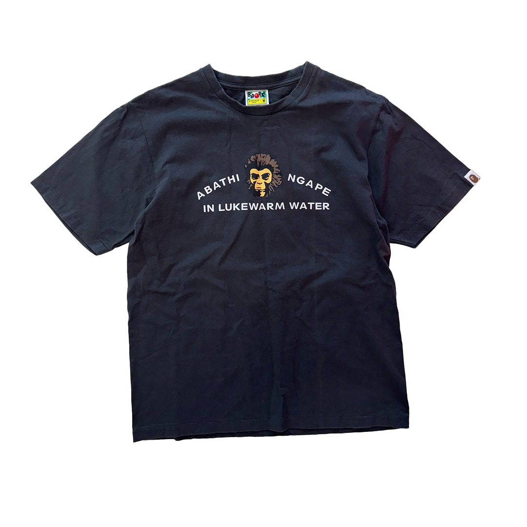 BAPE In Lukewarm Water Grey Tee (M)