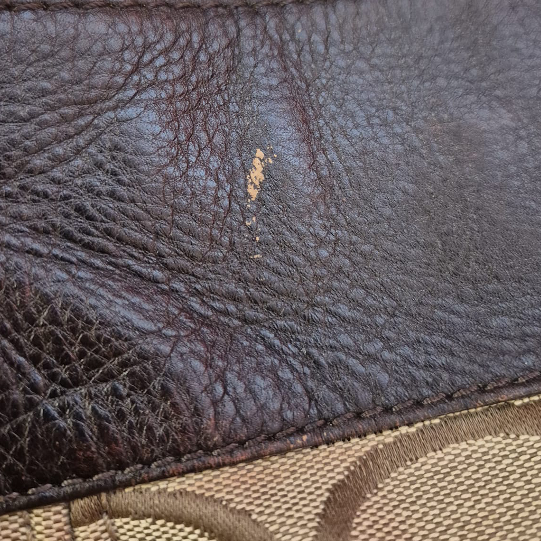 Coach Zoe Signature Bag