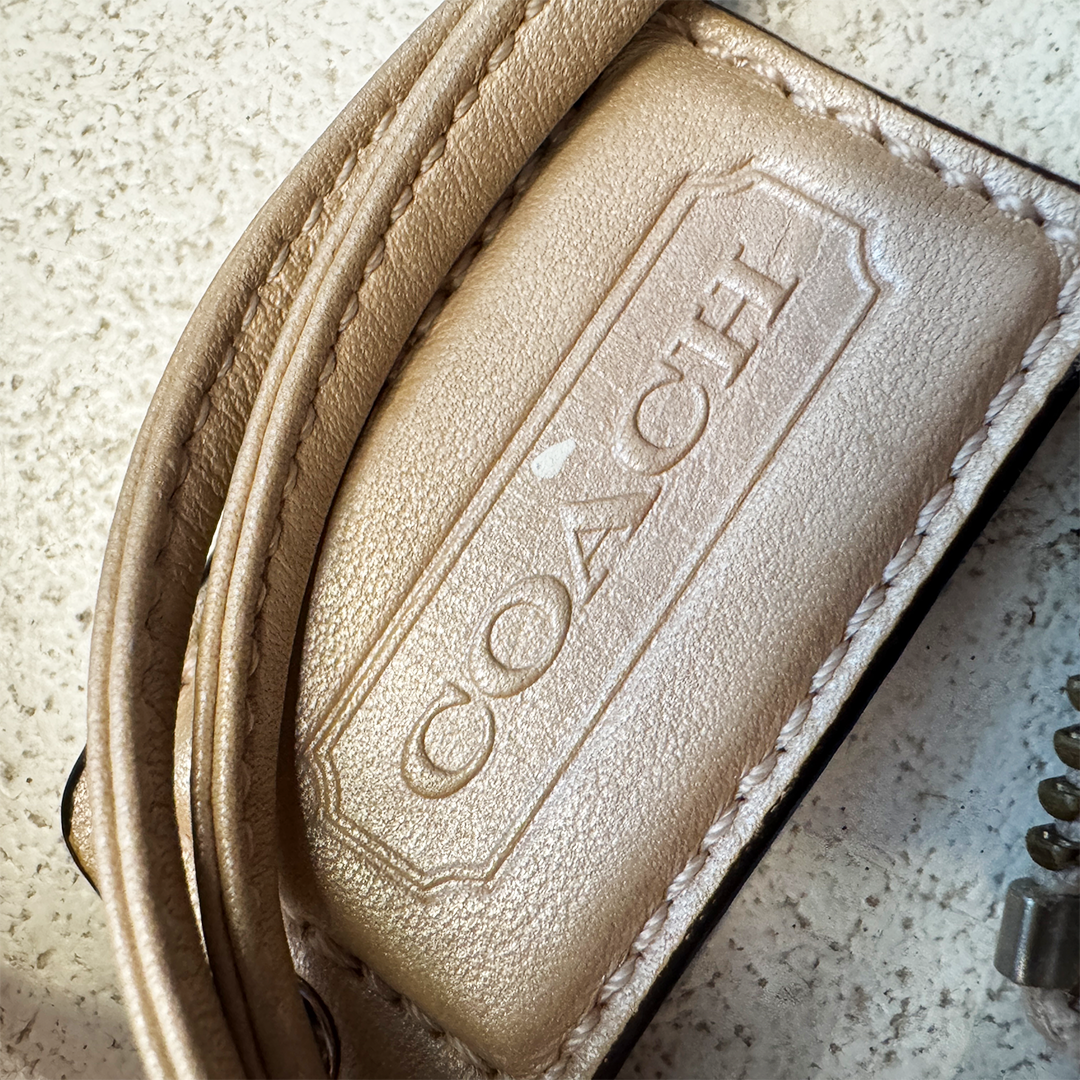 Coach Alice Leather Hobo Bag