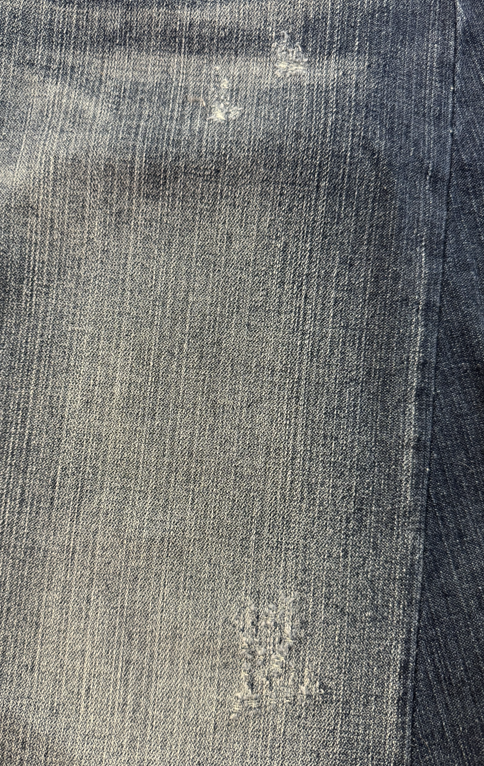 Evisu Daicock Logo Denim Short (36)