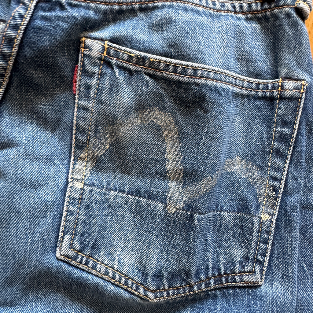 Evisu Seagull Pants (29x35)