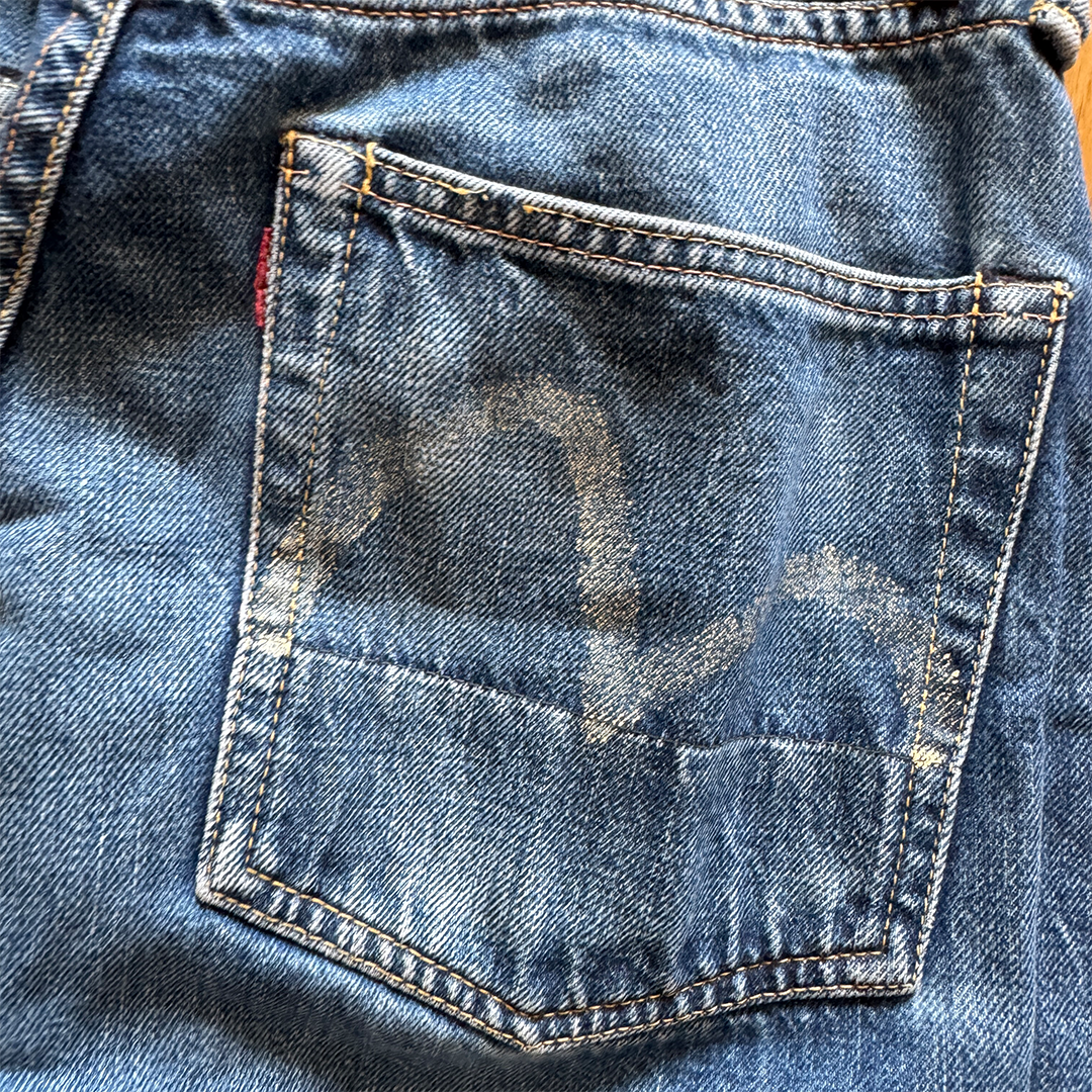Evisu Seagull Pants (29x35)