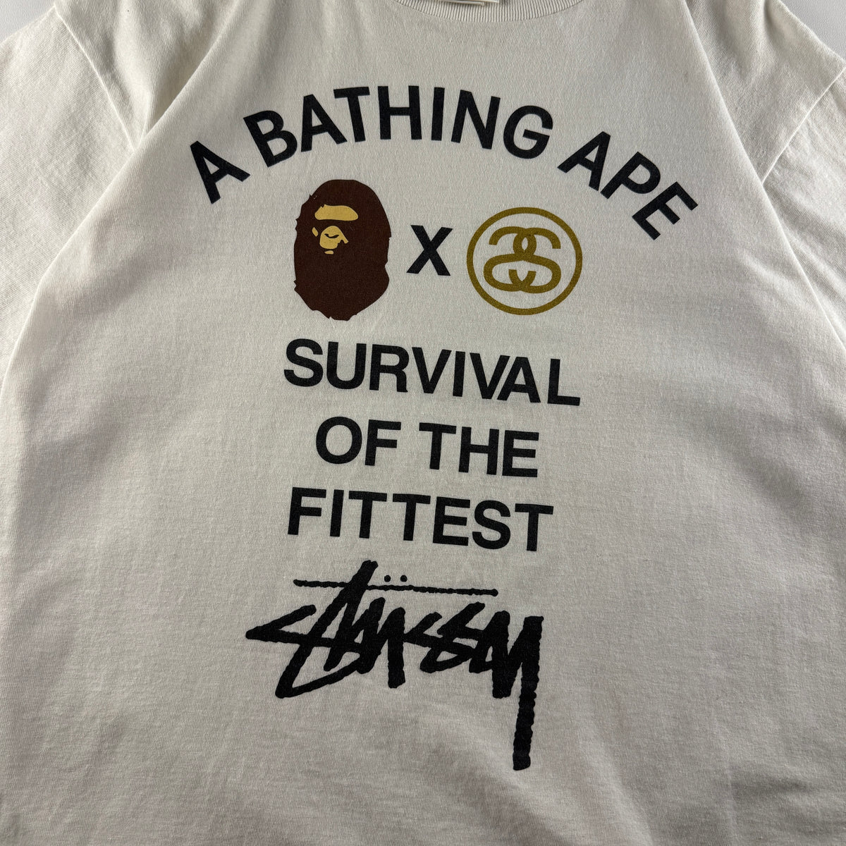 Bape x Stussy Survival of the Fittest White Tee (L)