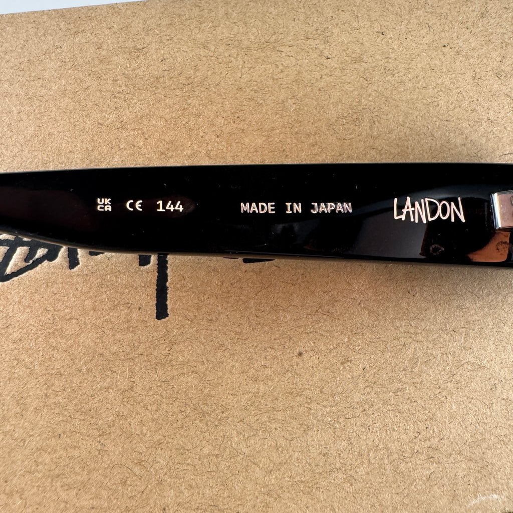Stussy Landon Black Sunglasses