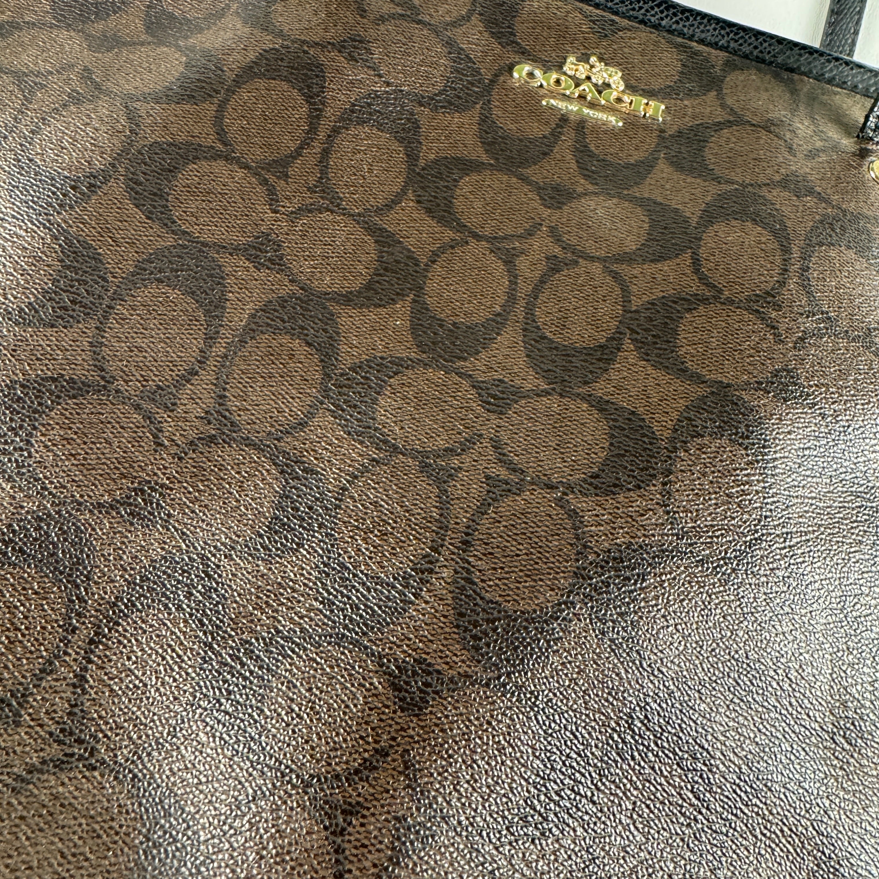Coach Signature City Zip Cabas Bag