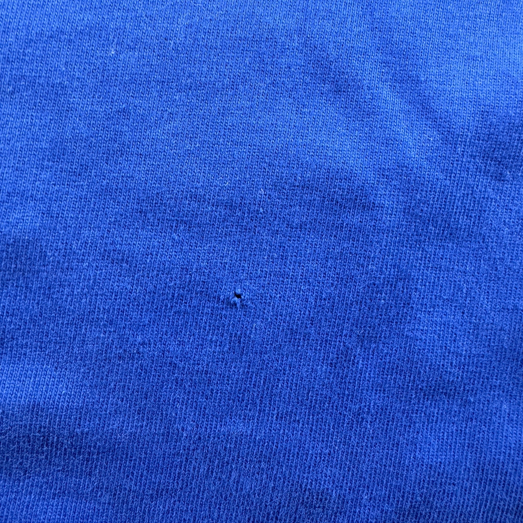 Ralph Lauren Long Sleeve Blue Polo (L)