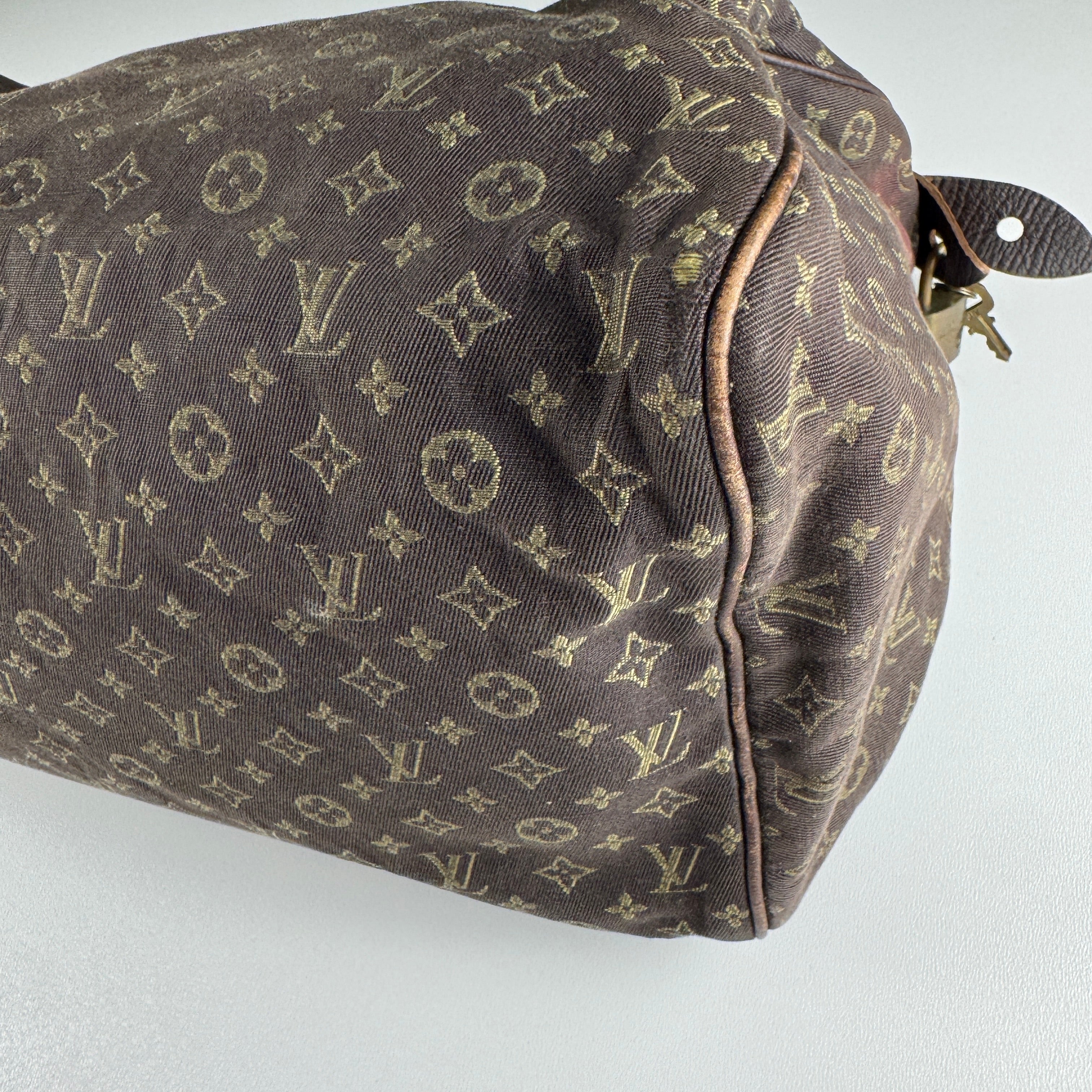 LV Speedy 30 Mini Lin