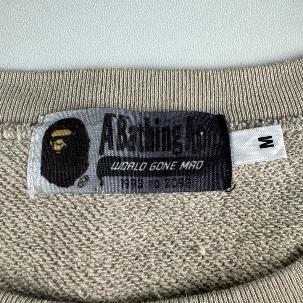 BAPE College Heavy Gradient Brown Tee (M)
