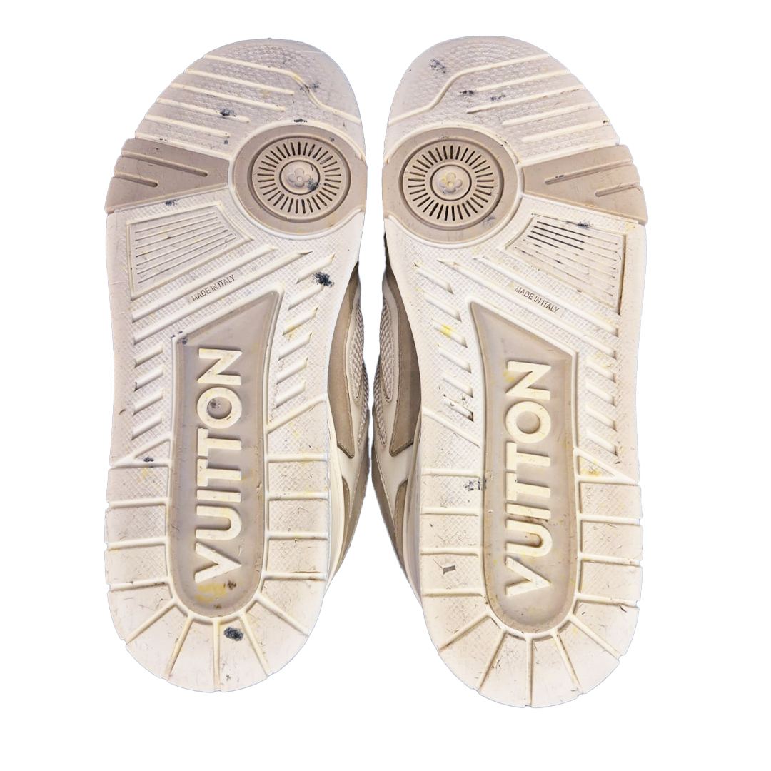 Louis Vuitton LV Skate (US7 - EU41.5) - 7.5/10