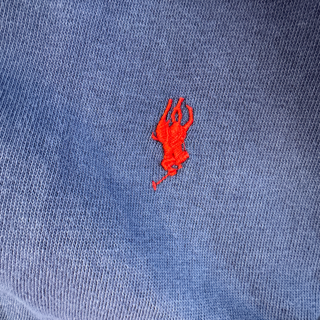 Ralph Lauren Blue Zip Up Light Hoodie (M)