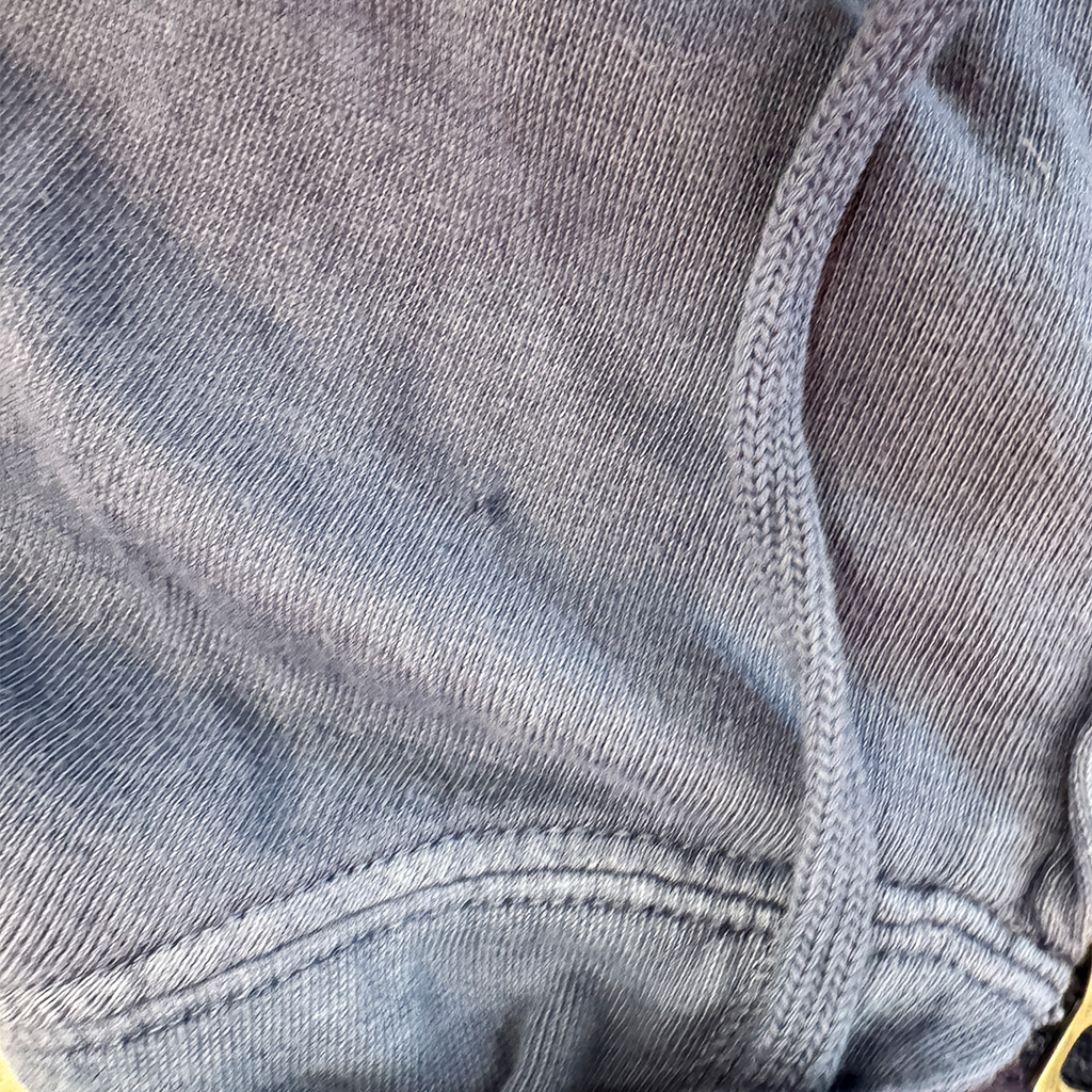 Ralph Lauren Blue Zip Up Light Hoodie (M)