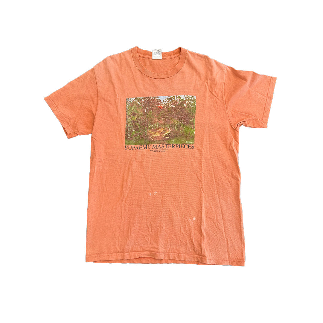 Supreme Masterpiece Salmon Tee (M)